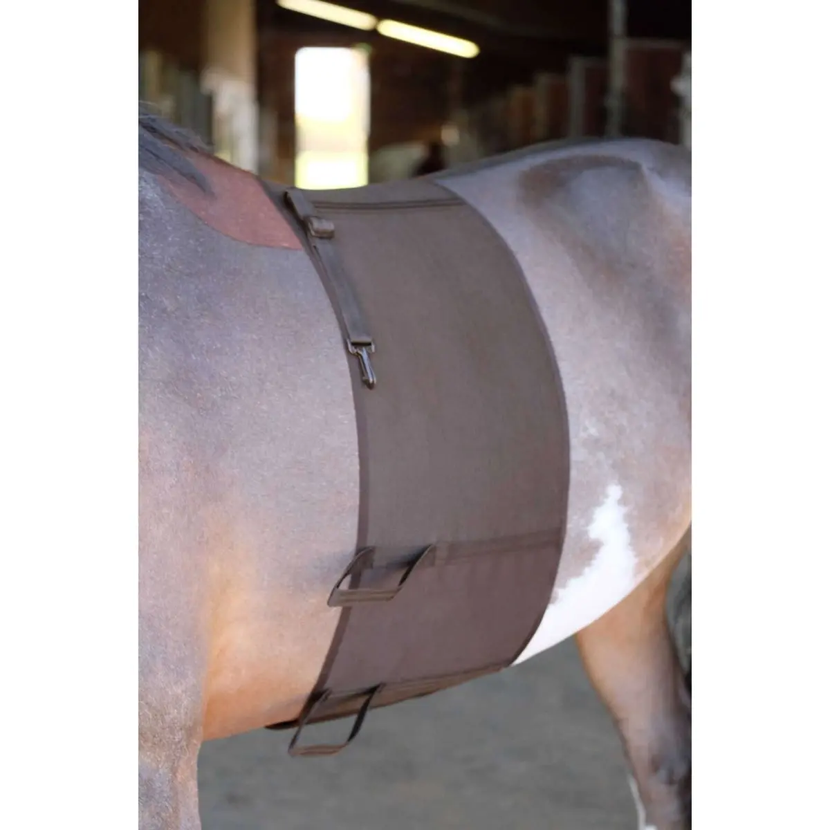 Norton Bodybandage Bruin 1
