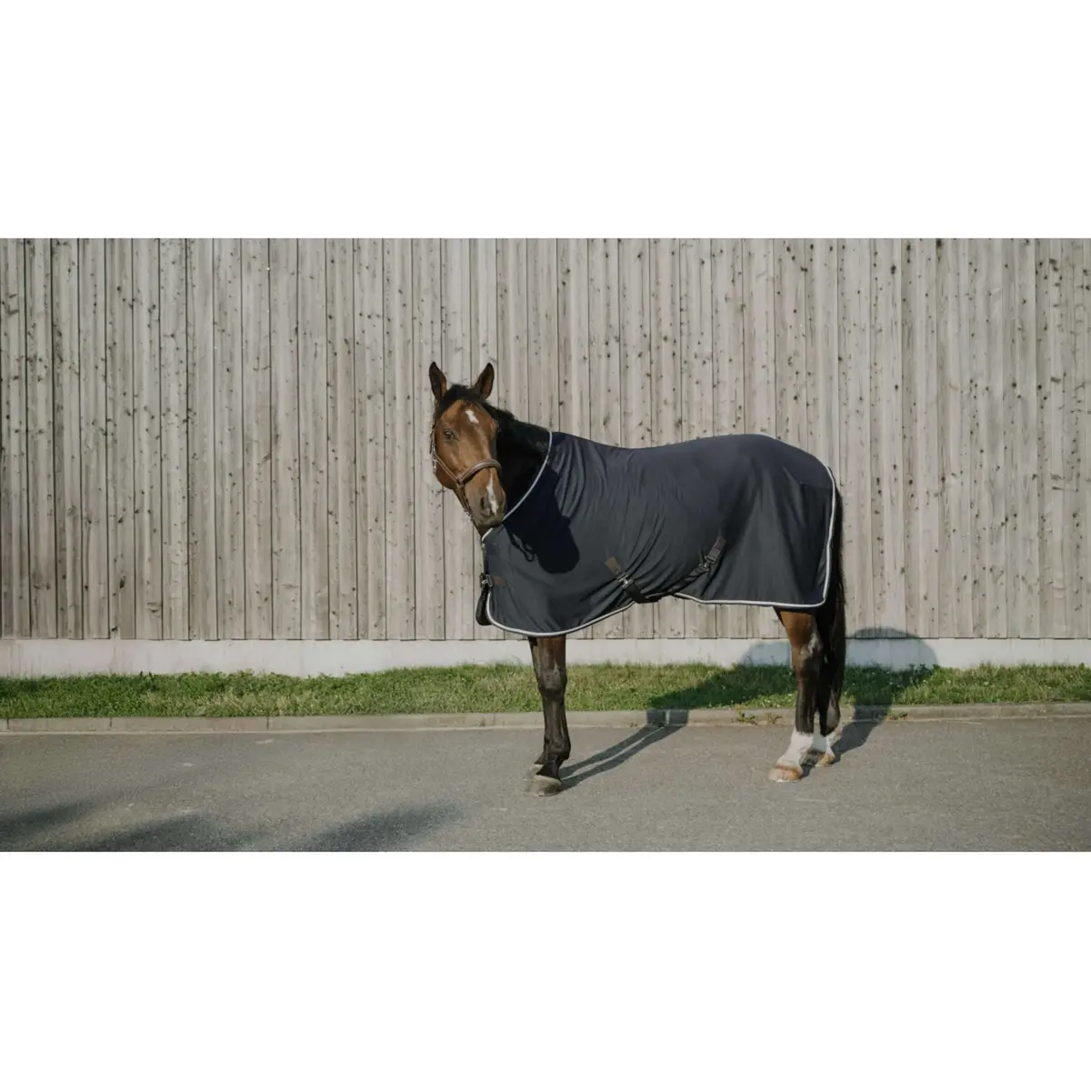 Equithème Cooler Deken Drycool Standard Navy Blue 1
