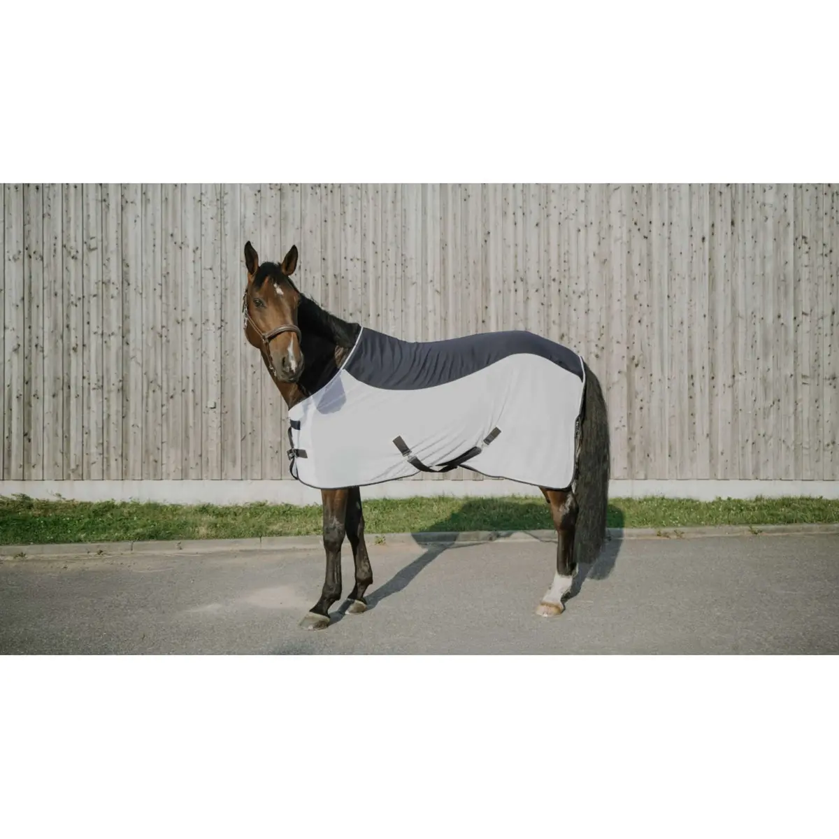 Equithème Vliegendeken Flycool Standard Navy/Wit 1