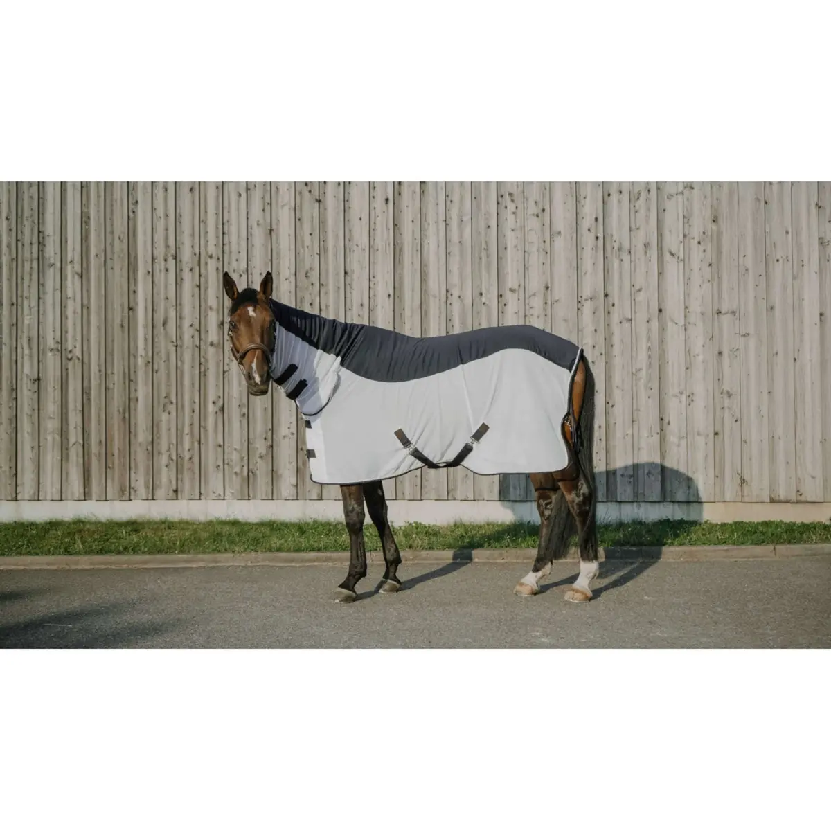 Equithème Vliegendeken Flycool Combo Met Hals Navy/Wit 1