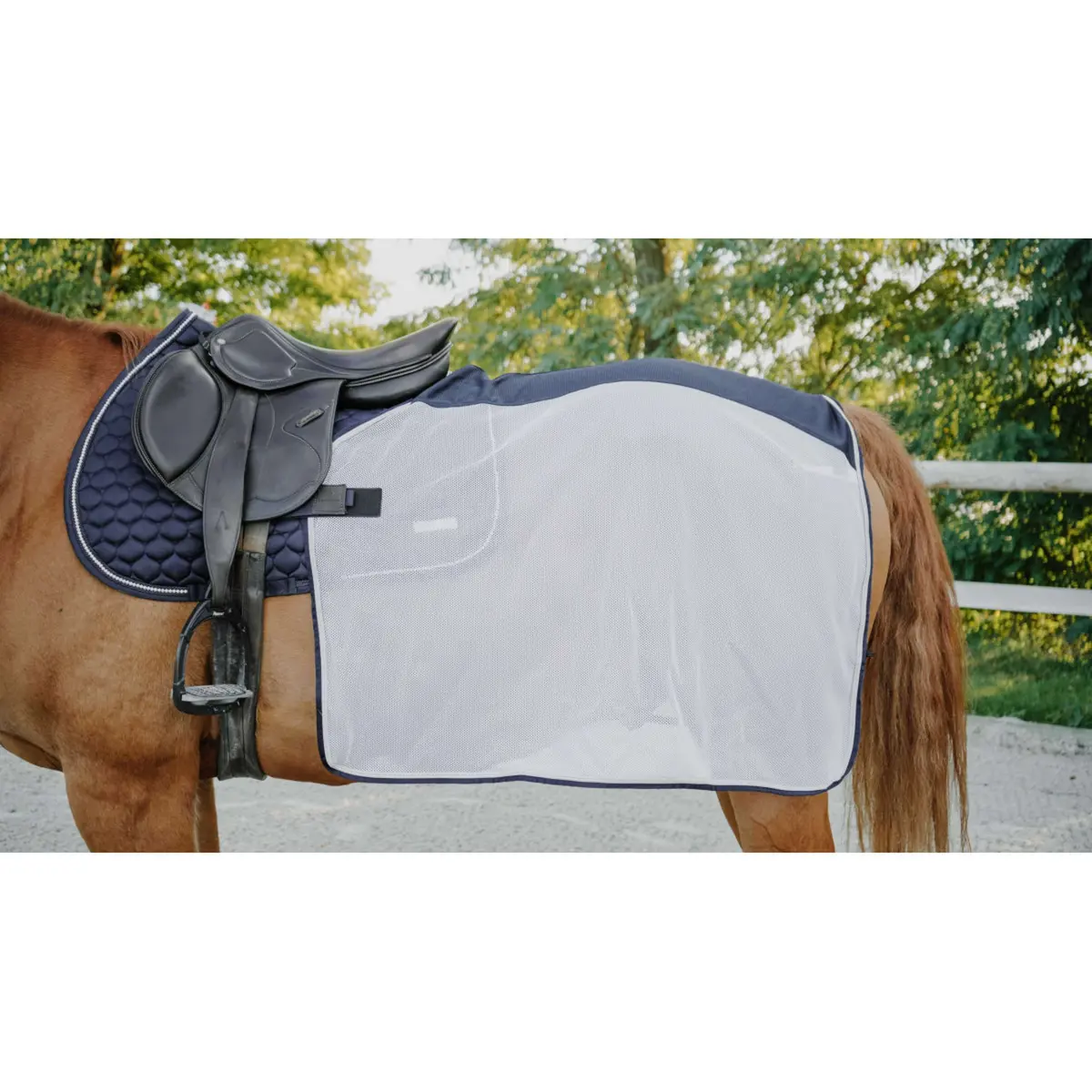 Equithème Uitrijdeken Flycool Square Navy/Wit 1