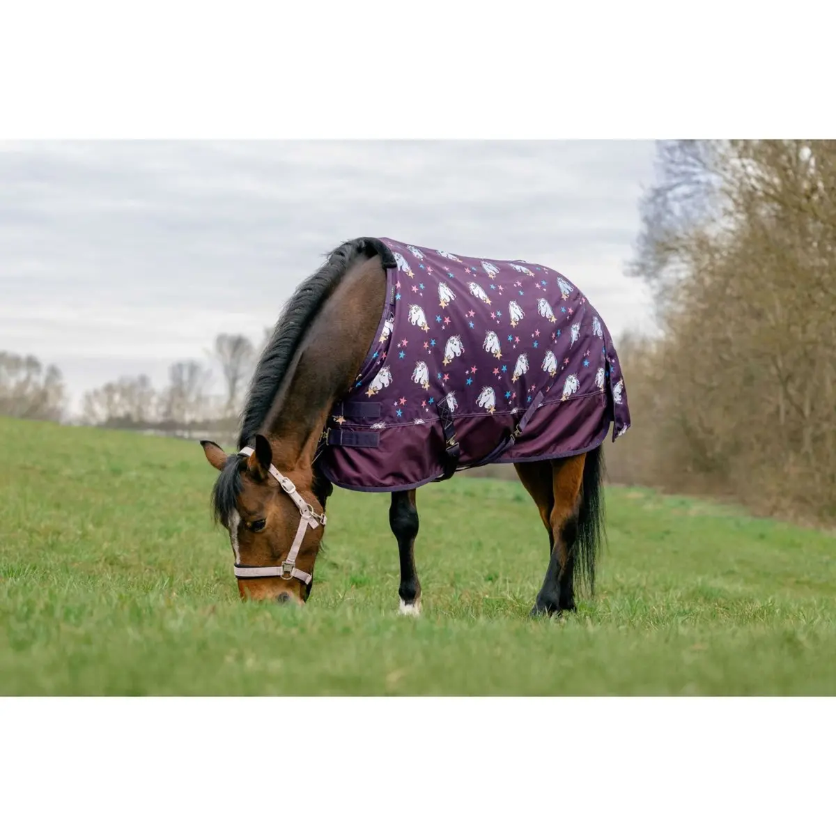 Equithème Turnout Deken Unicorn 600D 220G Plum 1