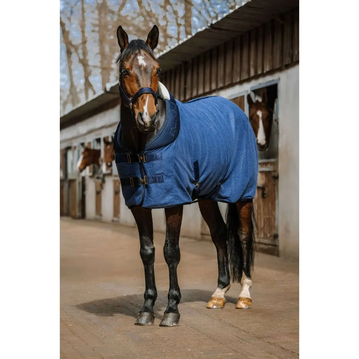 Equithème Zweetdeken Comfortech Navy 1