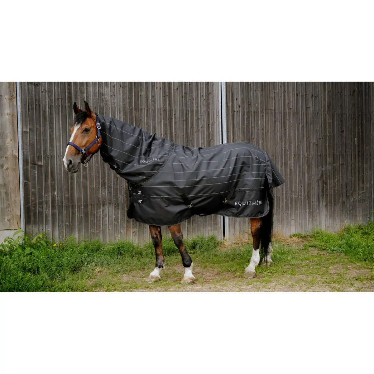 Equithème Halsstuk Tyrex Lumin 600D 0G Zwart 1