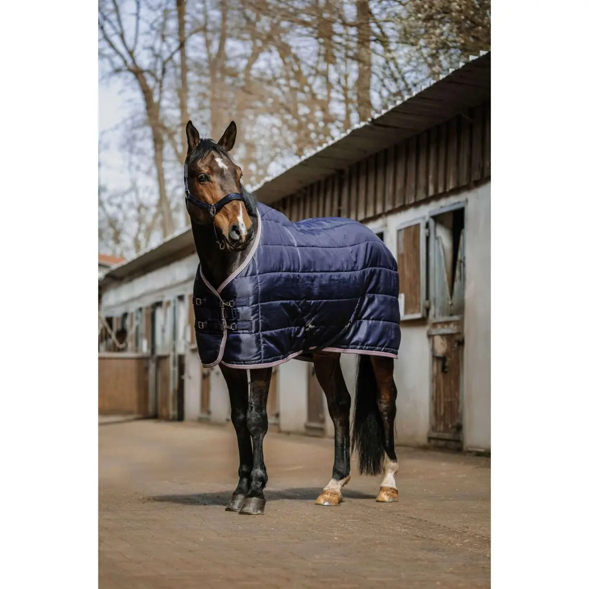 Equithème Staldeken Aztec 200Gr Navy 1
