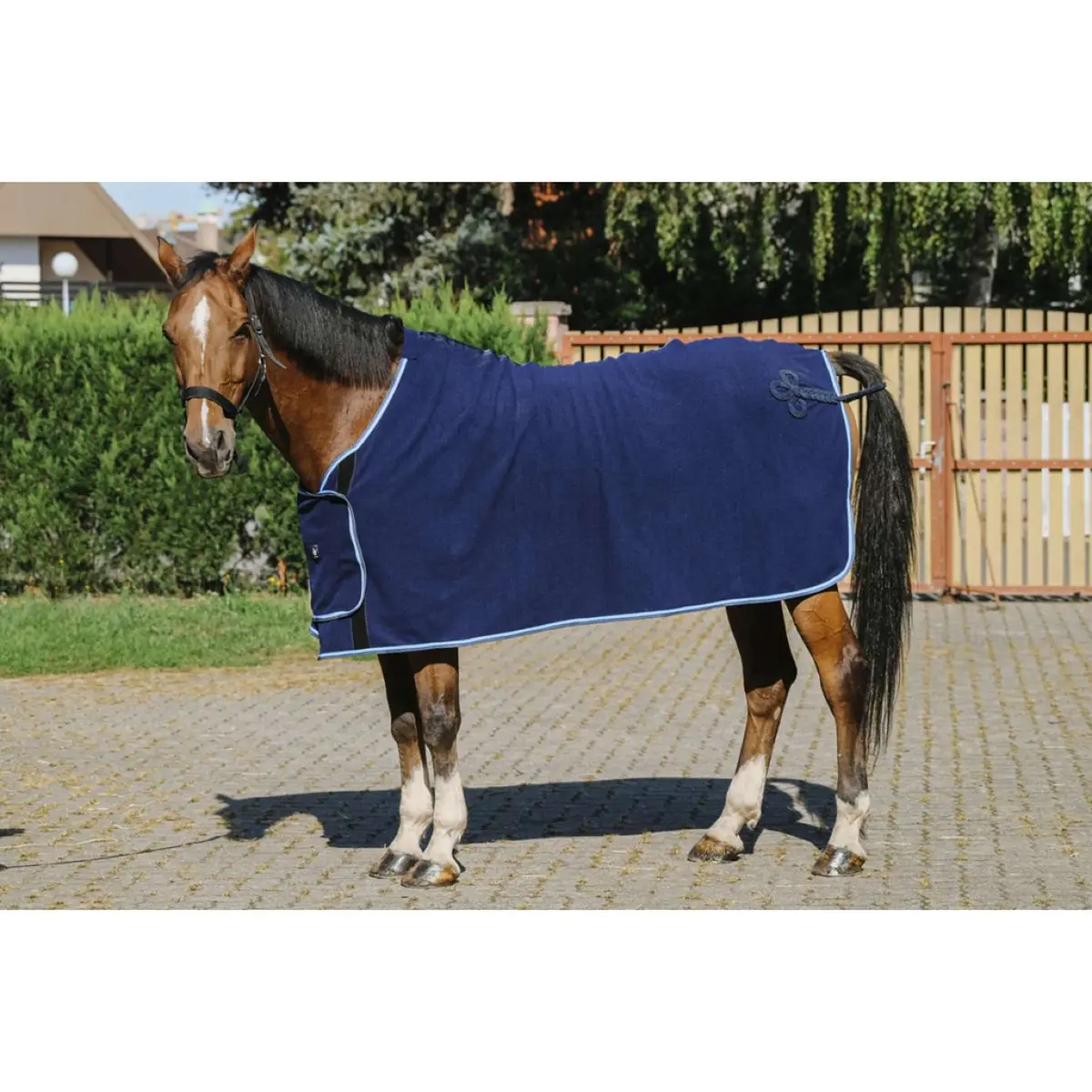 Riding World Showdeken Navy 1