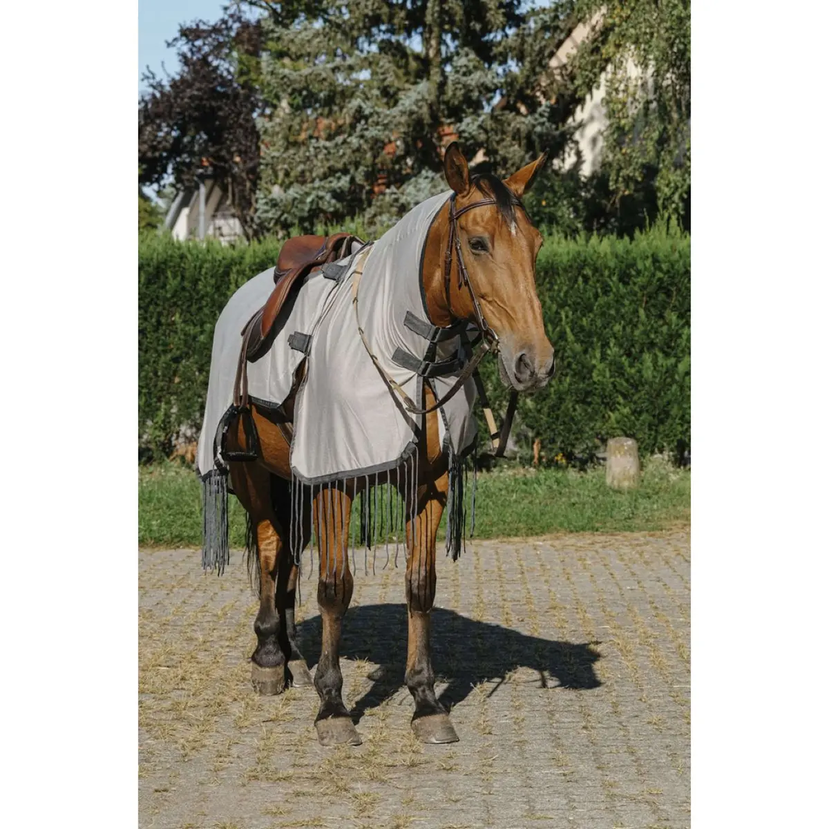 Riding World Vliegenuitrijdeken Mesh Grijs 1