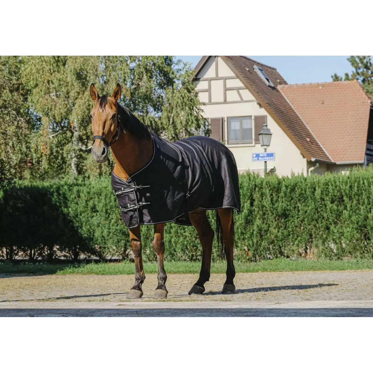 Riding World Zomerdeken Brillante Zwart 1