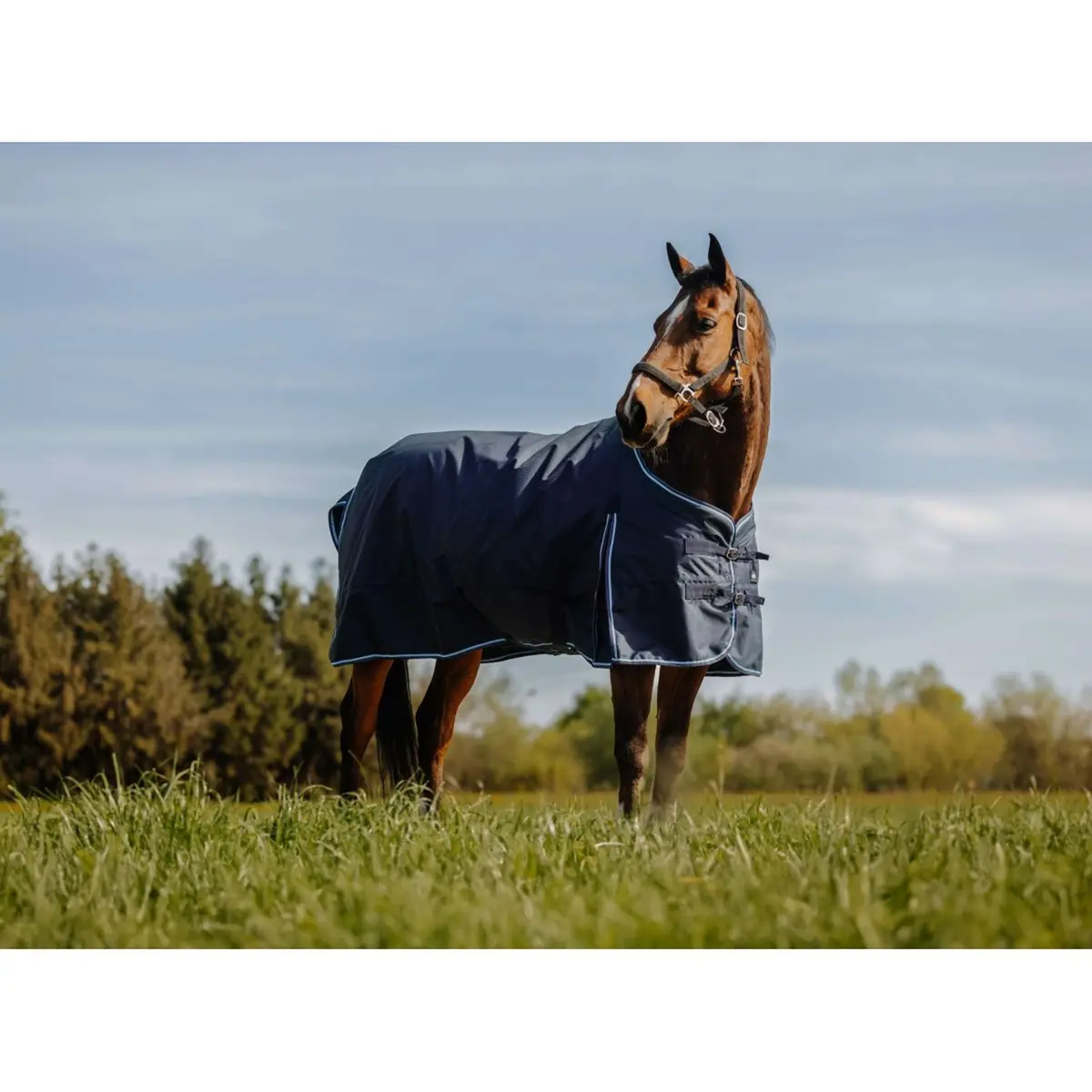Riding World Outdoordeken Eco 600D 220G Navy 1