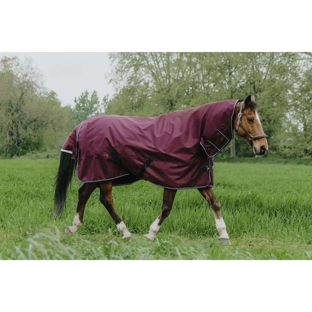 Equithème Outdoordeken Tyrex 1200D 200G Combo Burgundy 1