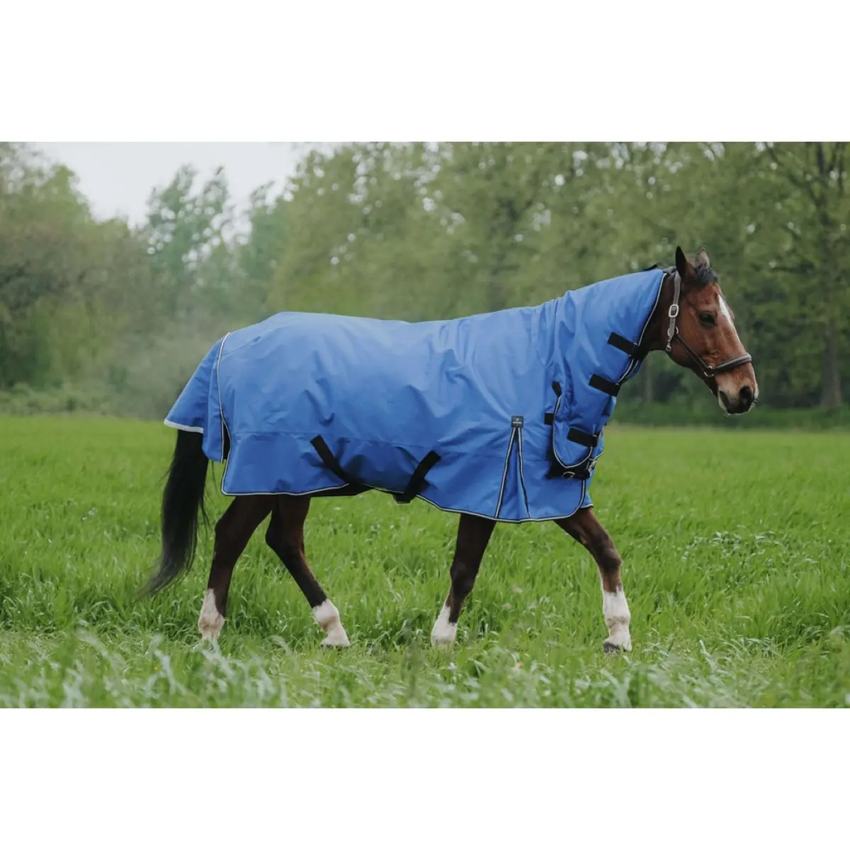 Equithème Outdoordeken Tyrex 1200D 300G Aisance Combo Royal Blue 1