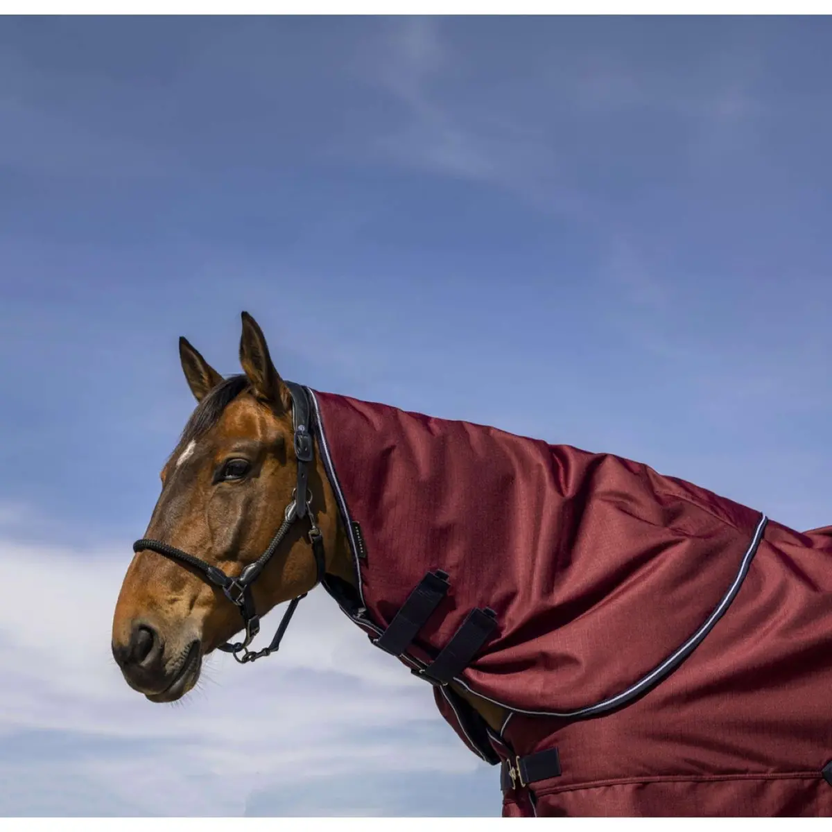 Equithème Halsstuk Tyrex 1200D 200G Burgundy 1