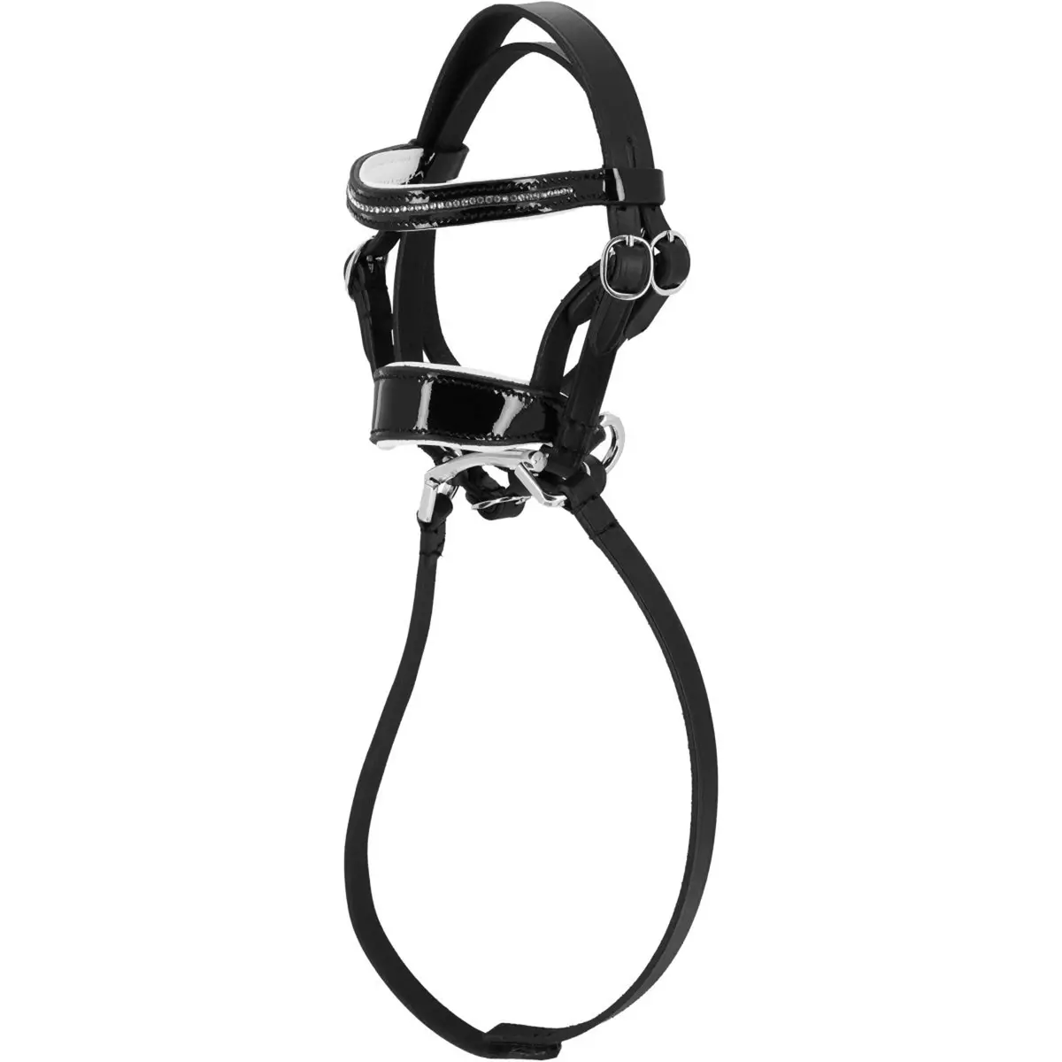 Equithème Pony Academy Hoofdstel Dressuur Zwart 1