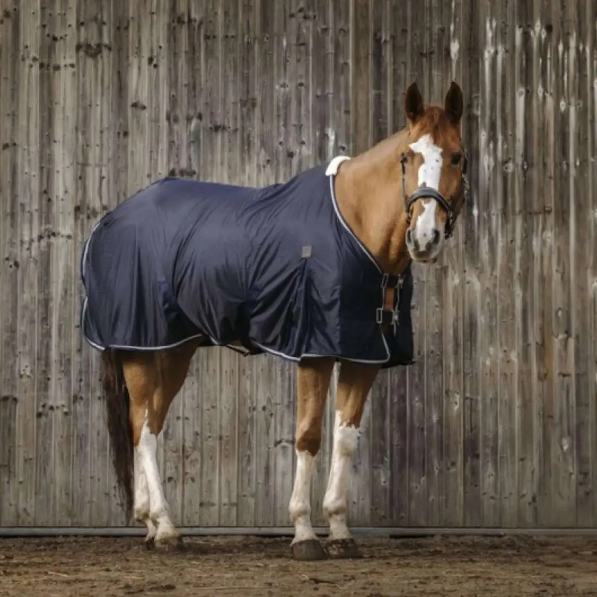 Equithème Vliegendeken Micro Mesh Navy 1