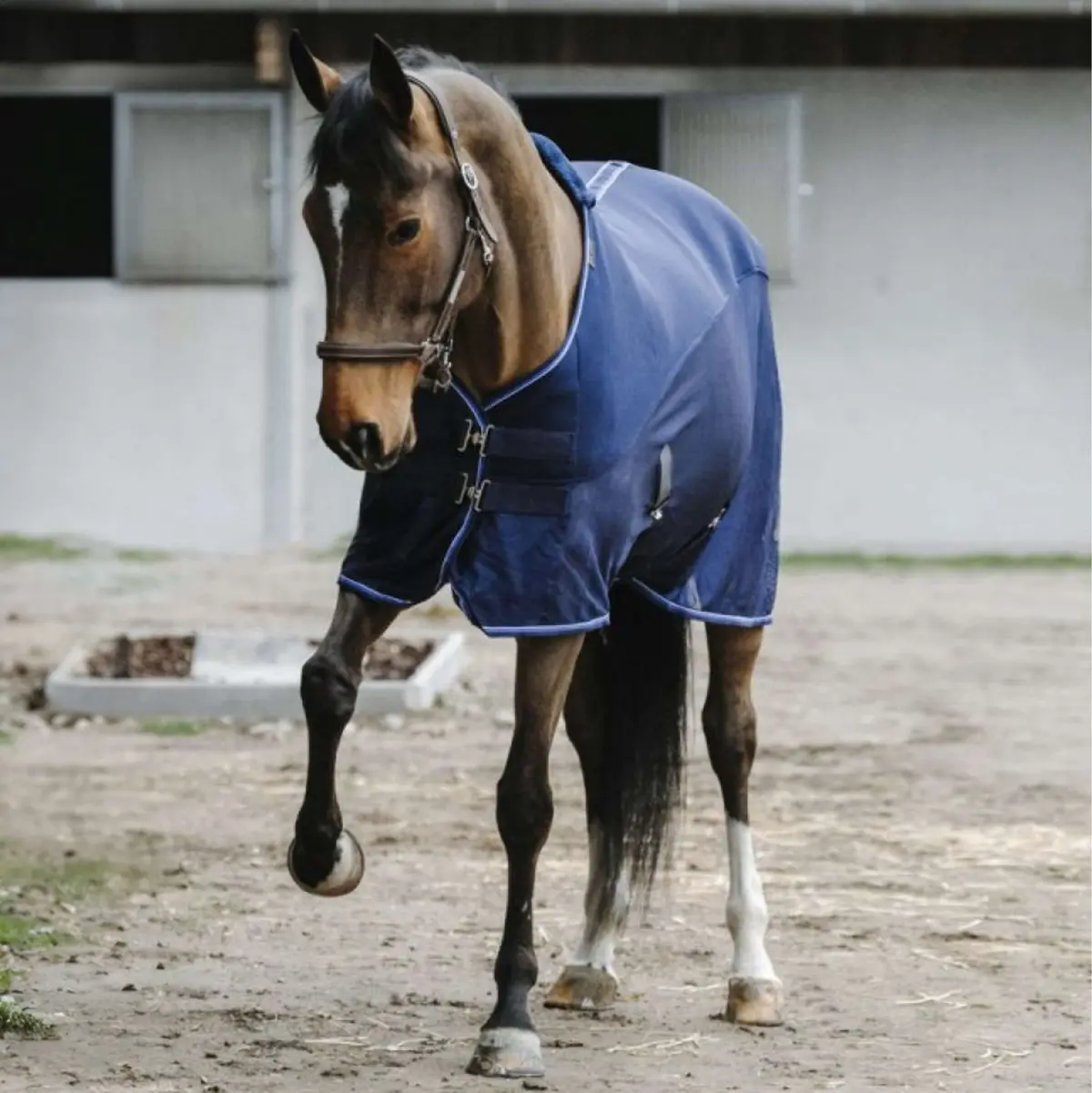 Equithème Vliegendeken Classic 3D Mesh Navy 1