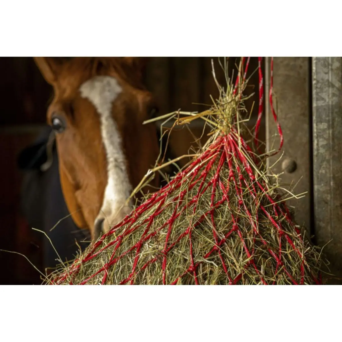 Hippotonic Hooinet Zari Rood/Zilver 1