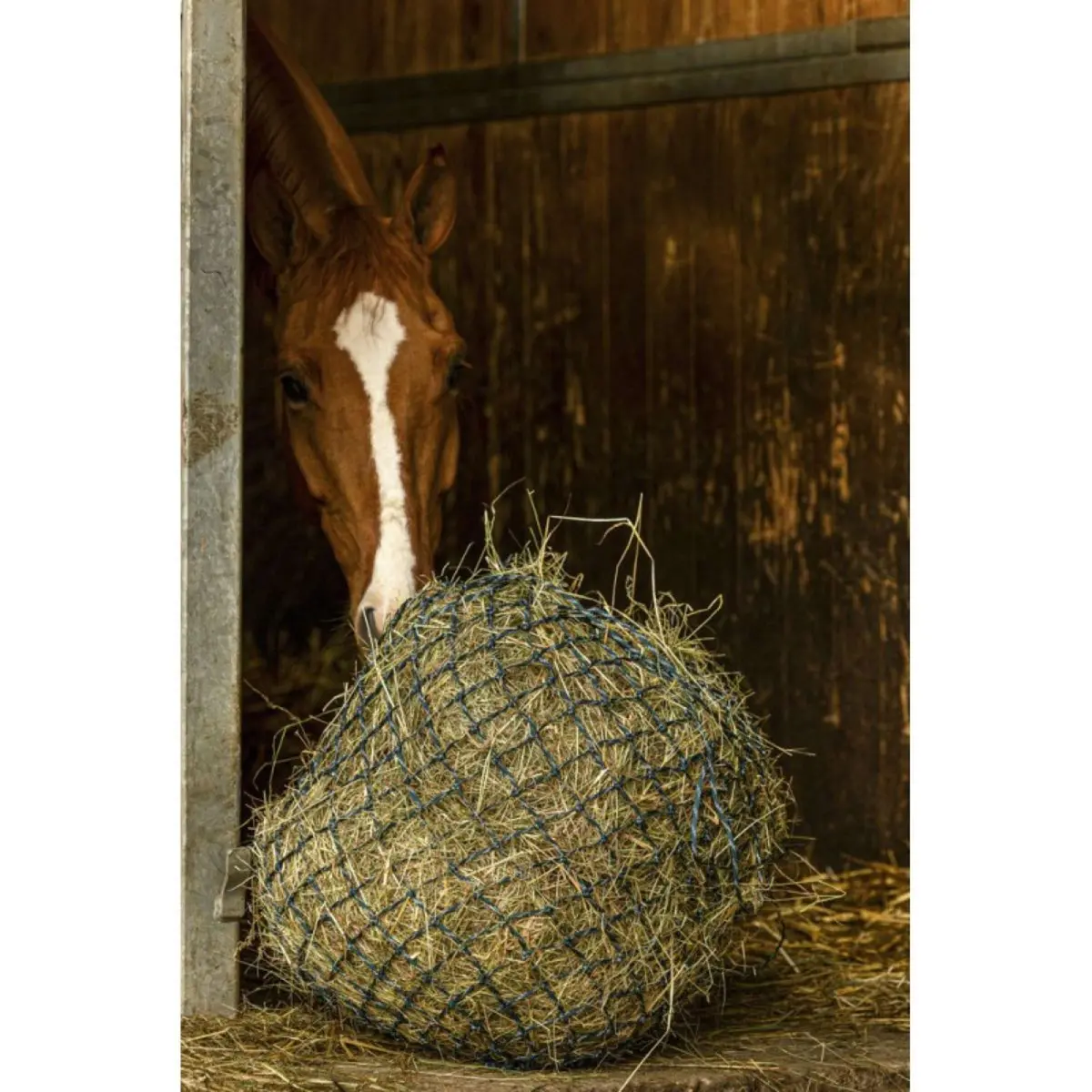 Hippotonic Hooinet Zari Navy/Zilver 1