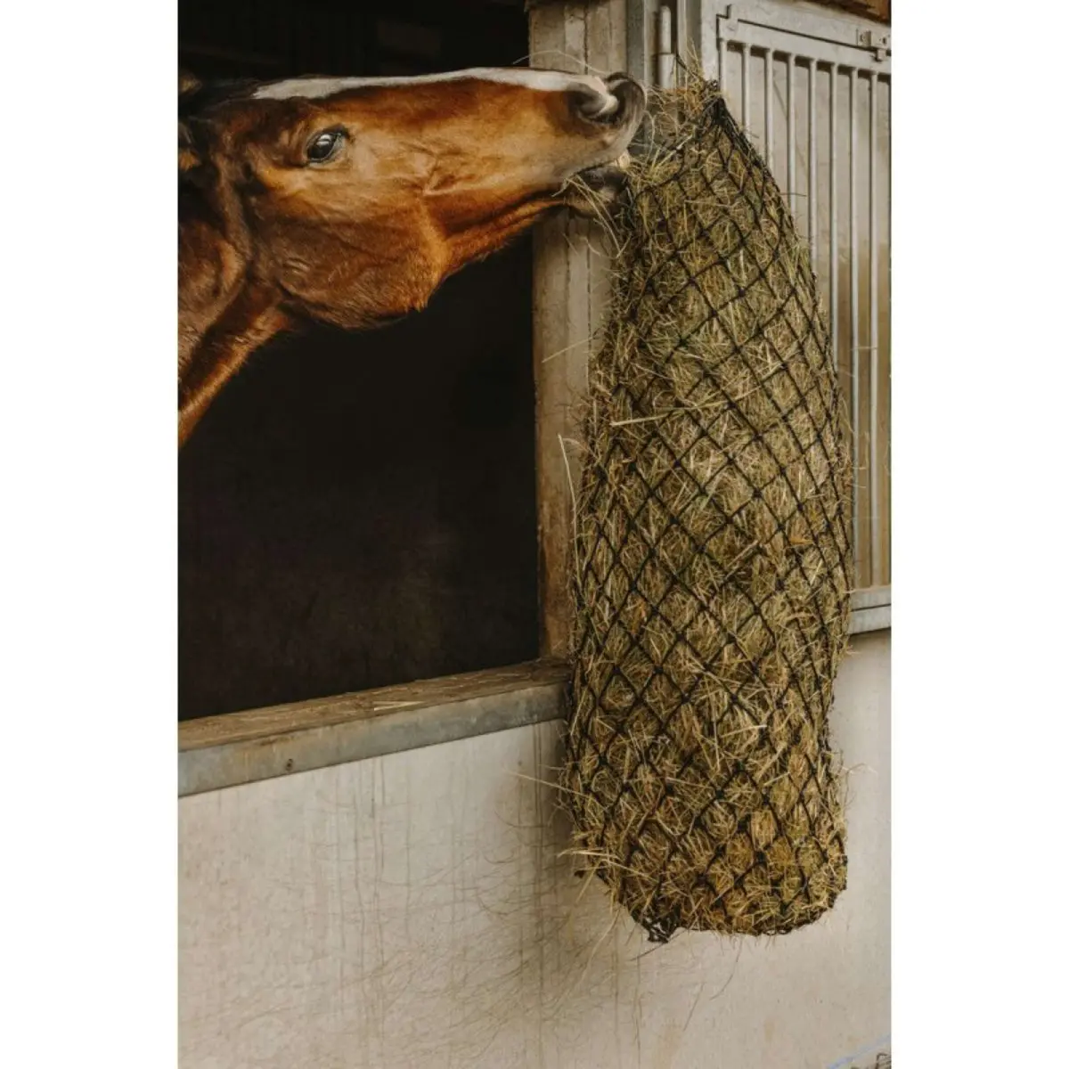 Hippotonic Hooinet Long Zwart 1