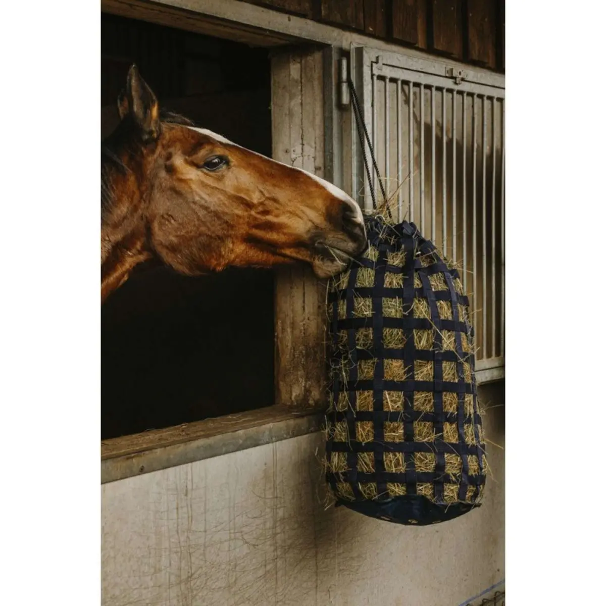 Hippotonic Hooinet Webbing Navy 1