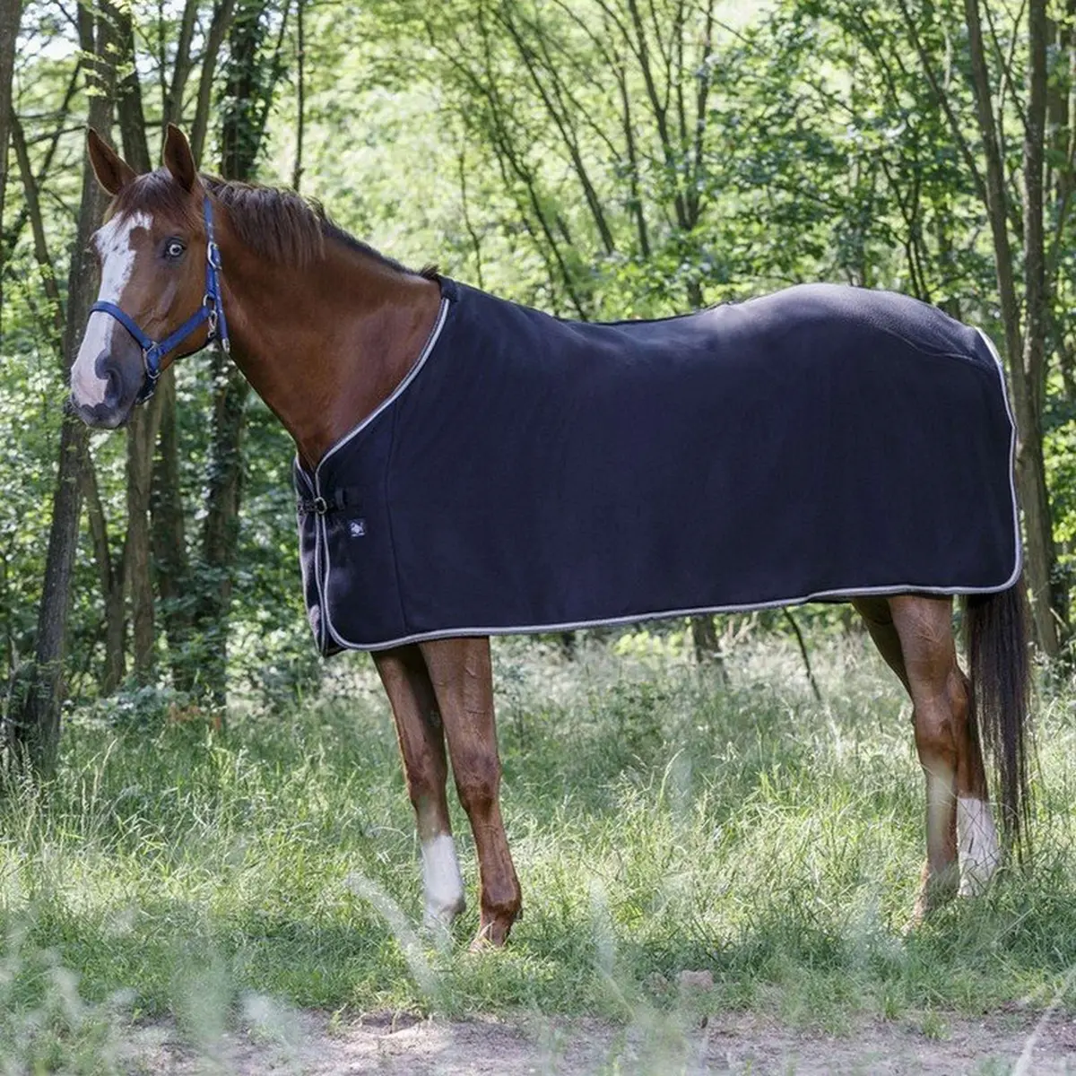 Riding World Fleecedeken Polar Fleece 1
