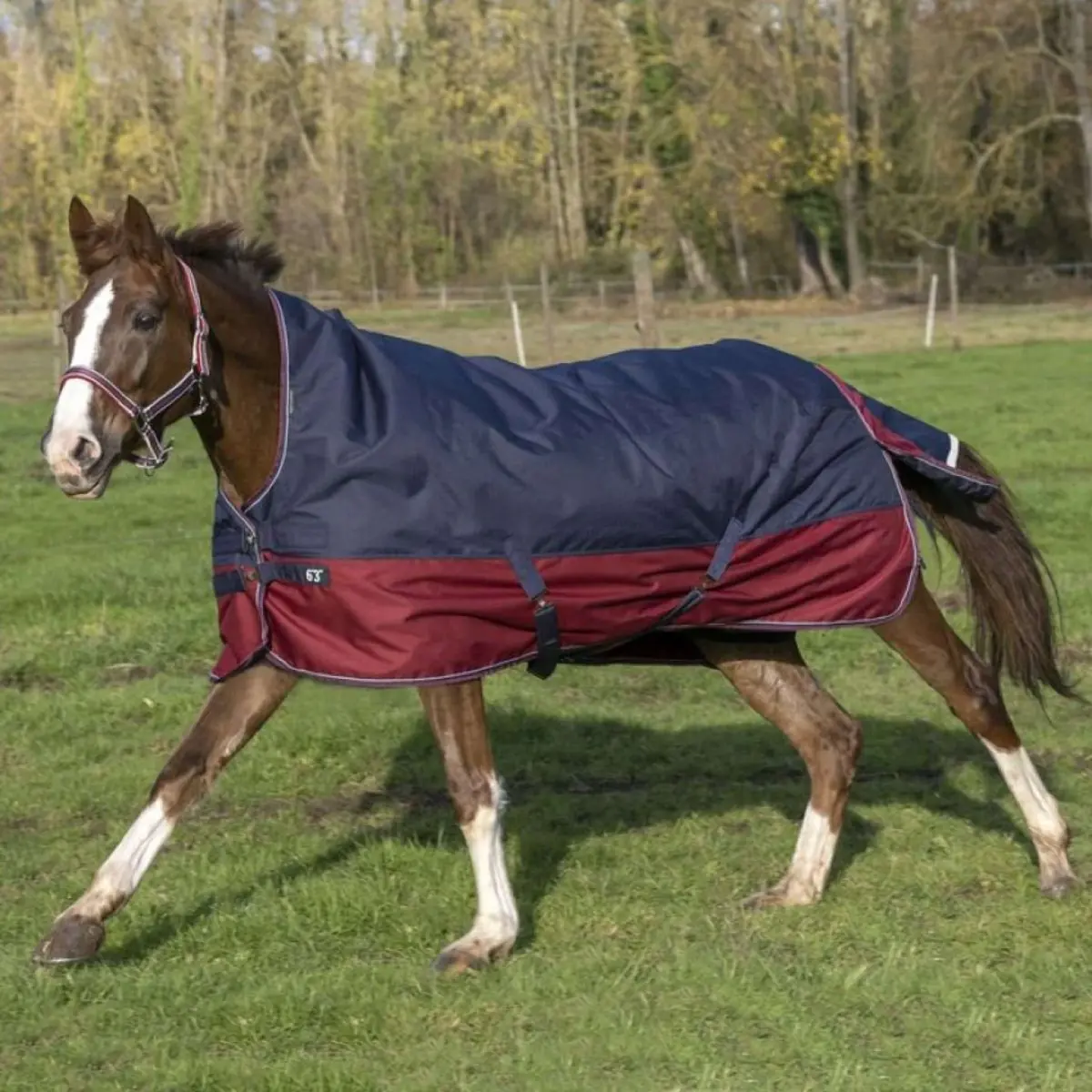 Equithème Outdoordeken Tyrex 1200D 150G Met Halve Hals Navy/Bordeaux 1