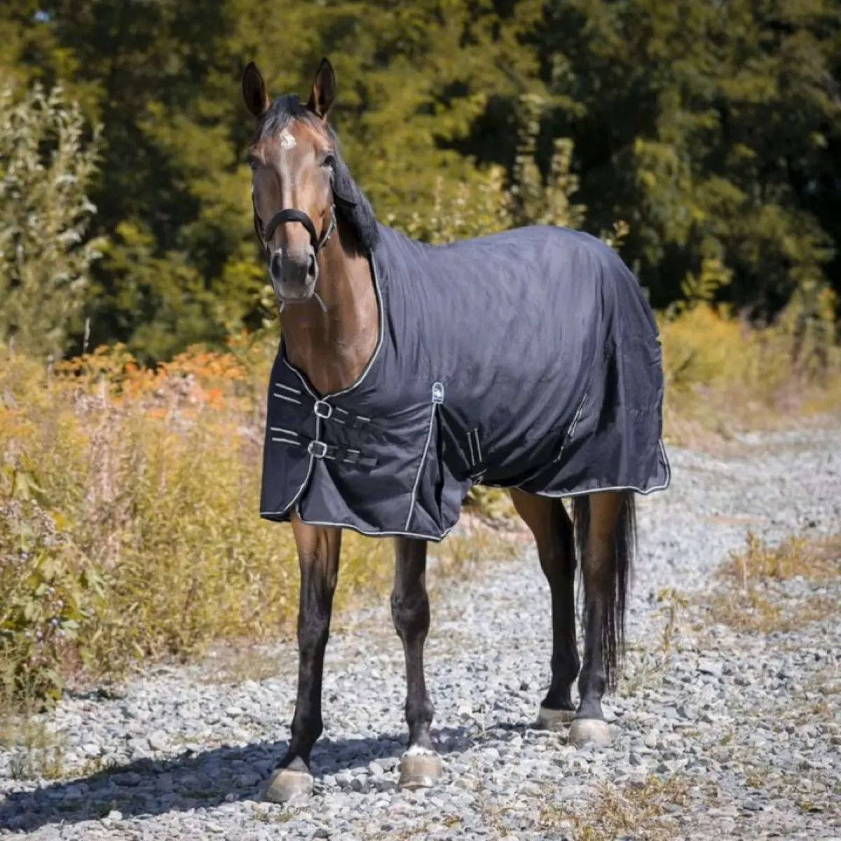 Riding World Outdoordeken Oxford 220G Zwart 1
