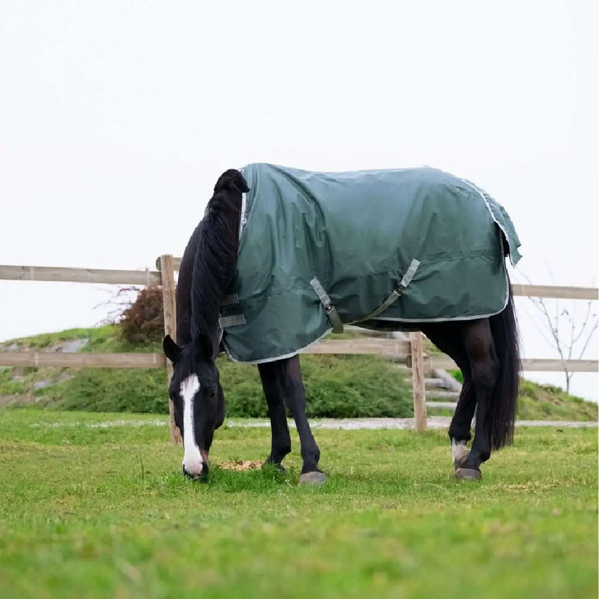 Equithème Outdoordeken Tyrex 600D 300G Gerecycled Groen 1