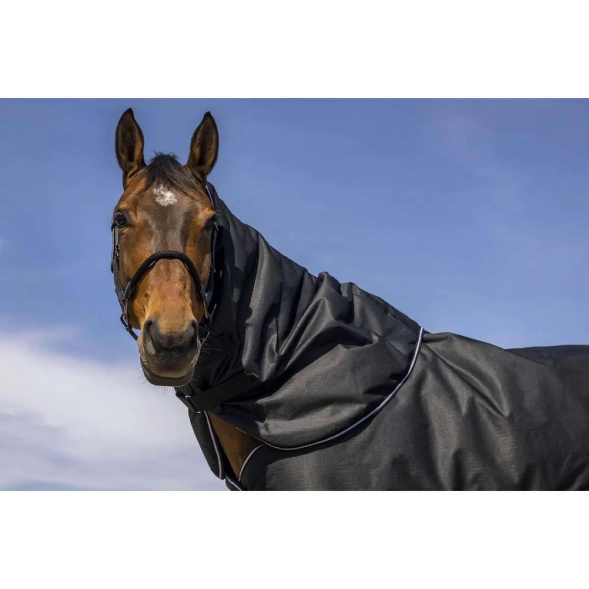 Equithème Halsstuk Tyrex 600D 200G Zwart 1