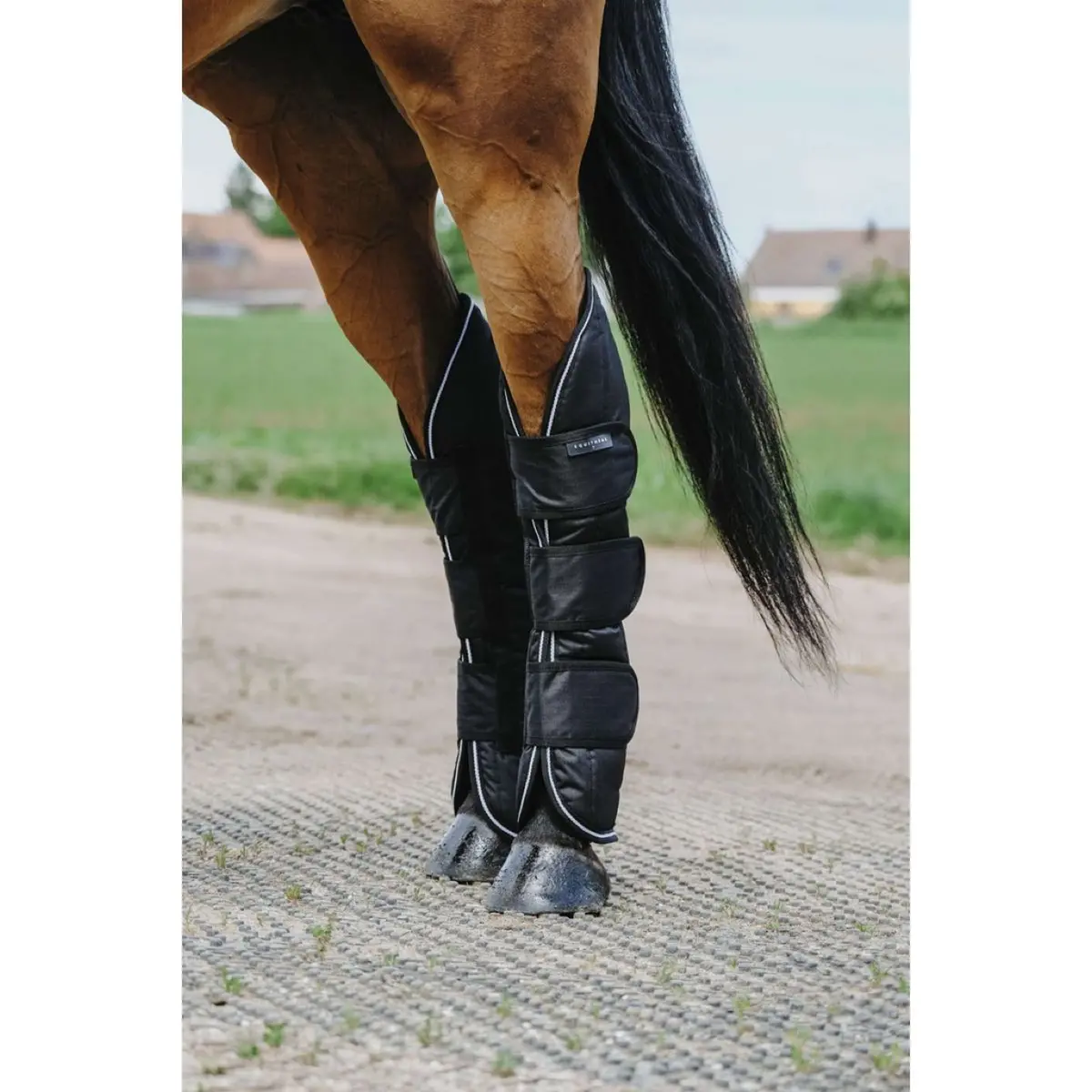 Equithème Transportbeschermers 600D Zwart 1