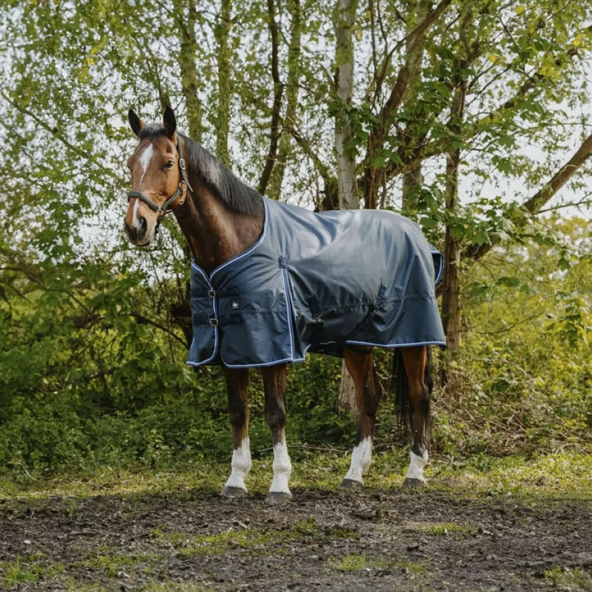 Riding World Outdoordeken Eco 1200D 50G Navy 1