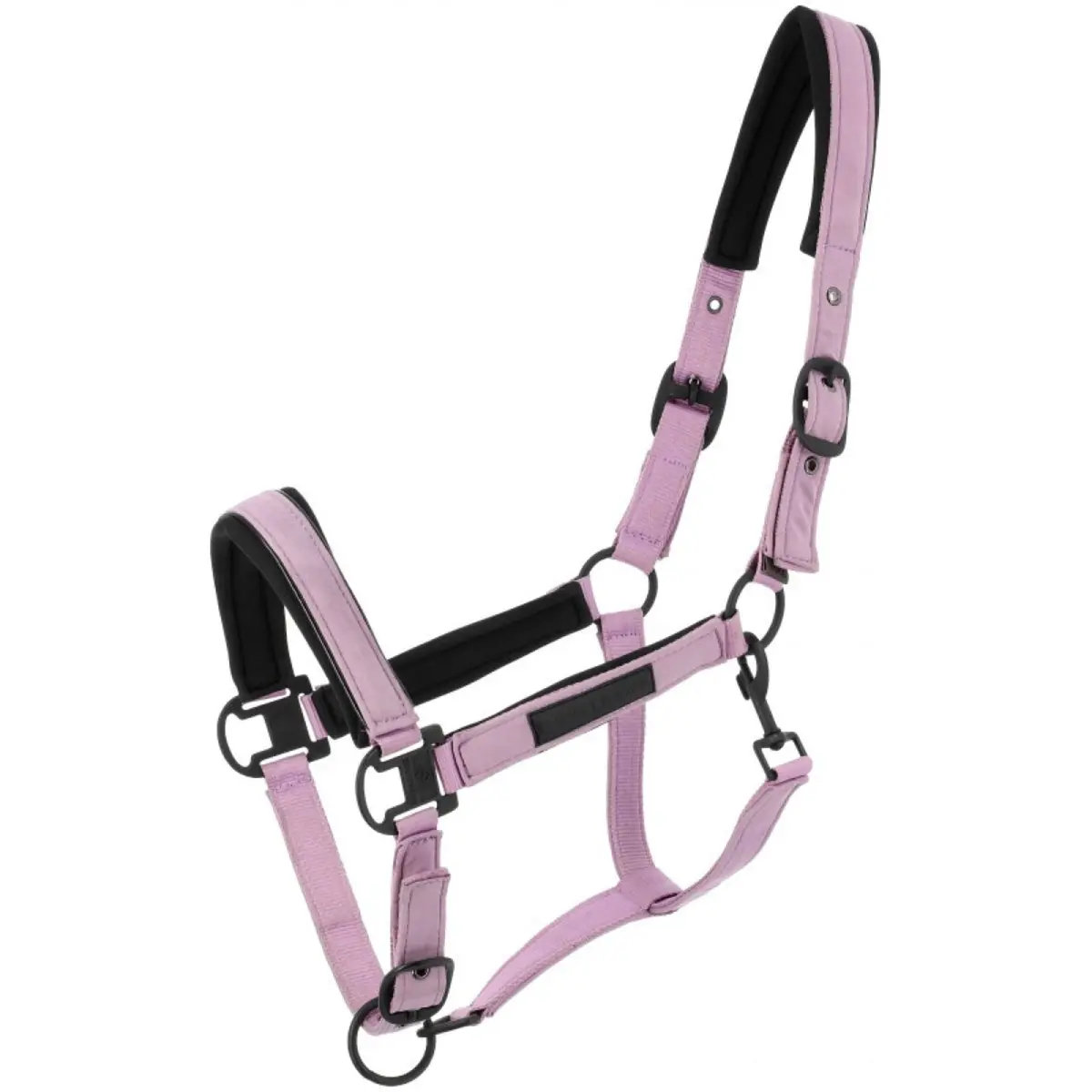 Equithème Halster Pearl Lavander 1