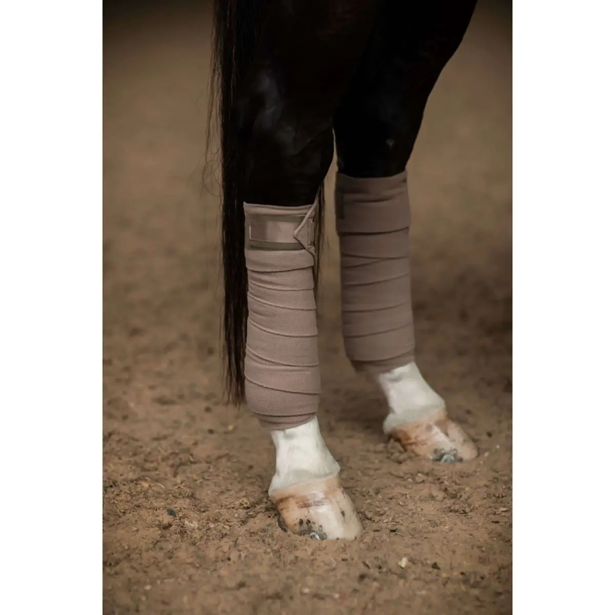Equestrian Stockholm Bandages Champagne 2