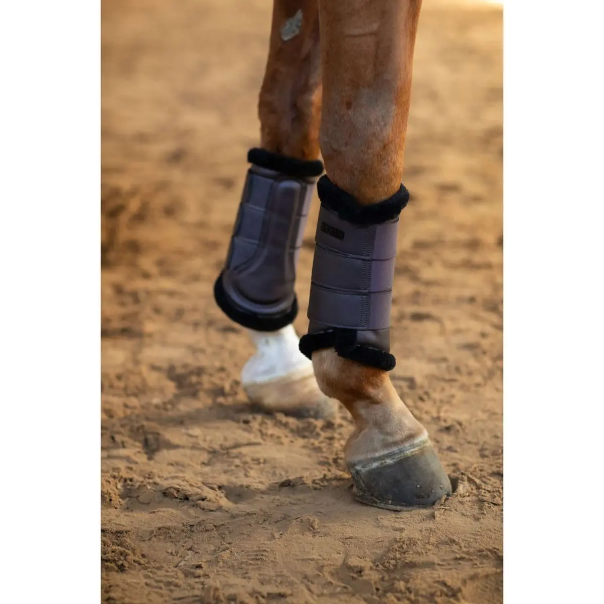 Equestrian Stockholm Beenbeschermers Dark Violet 1