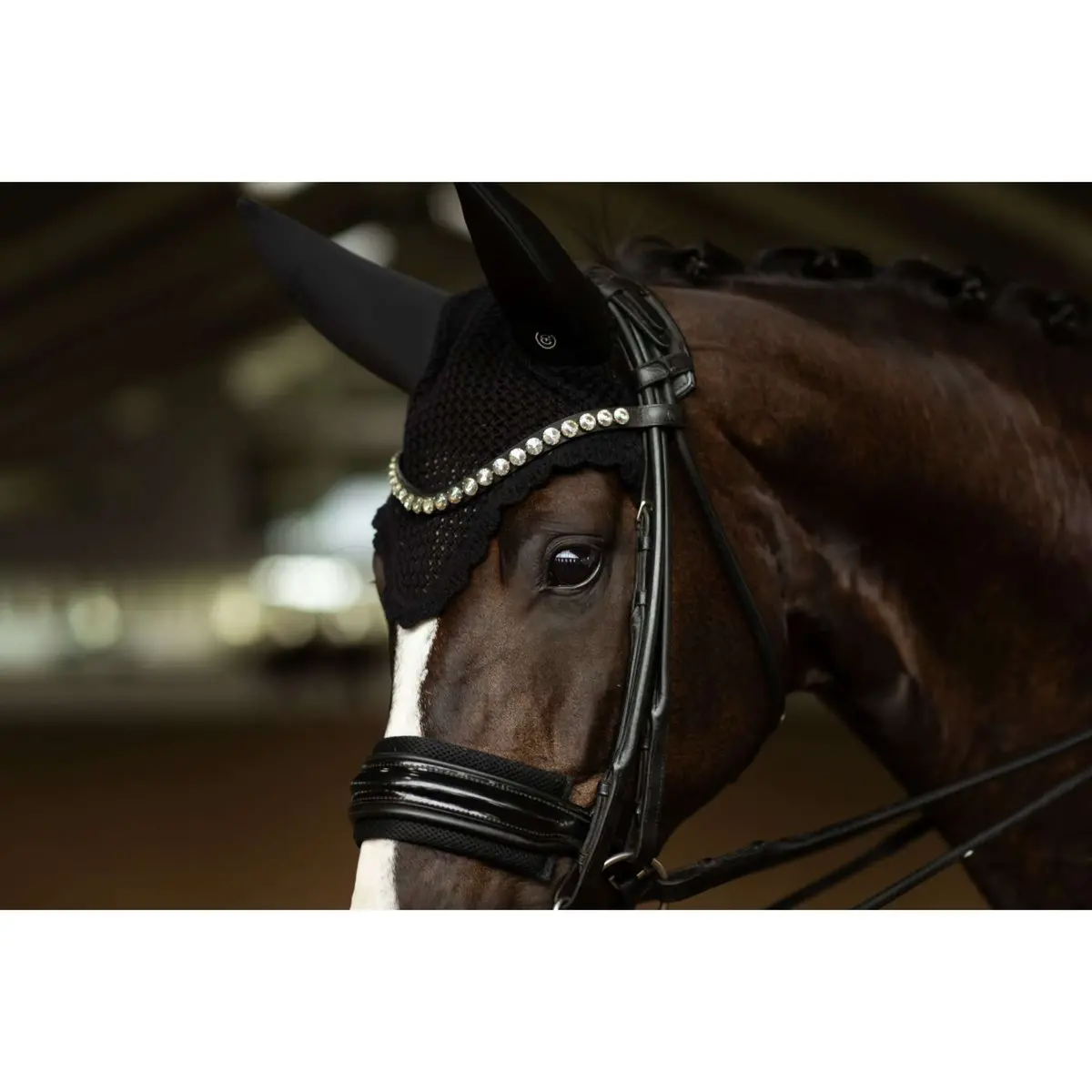 Equestrian Stockholm Oornetje Padded Clean Black 2
