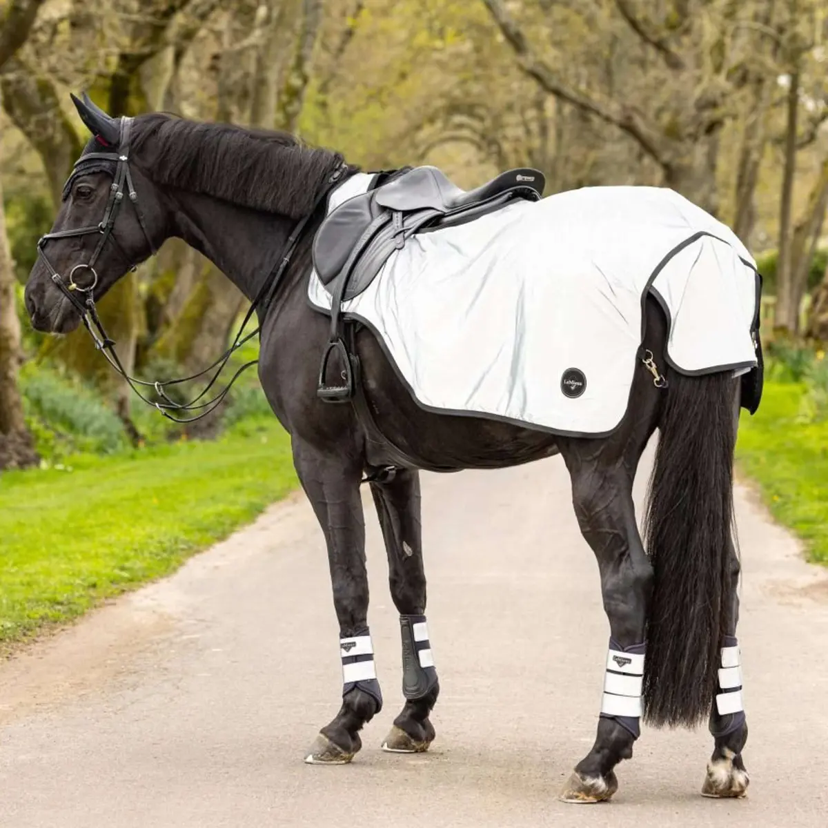 Lemieux Deken Exercise Reflectie Black Reflective 1
