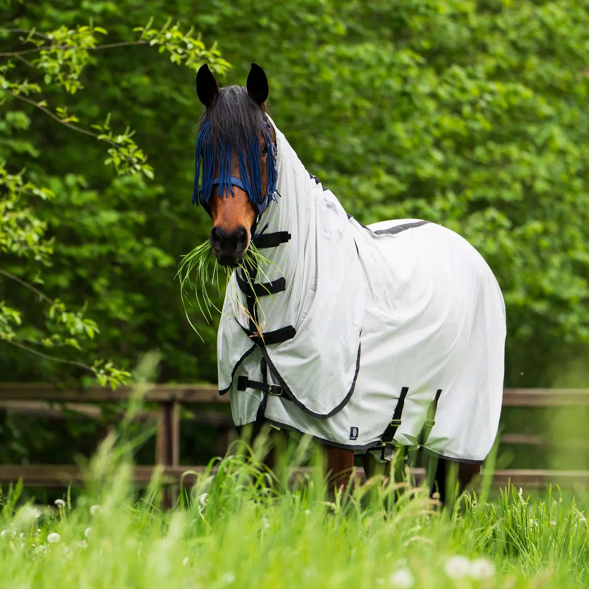 Imperial Riding Vliegendeken Irhreese Zilvergrijs 1