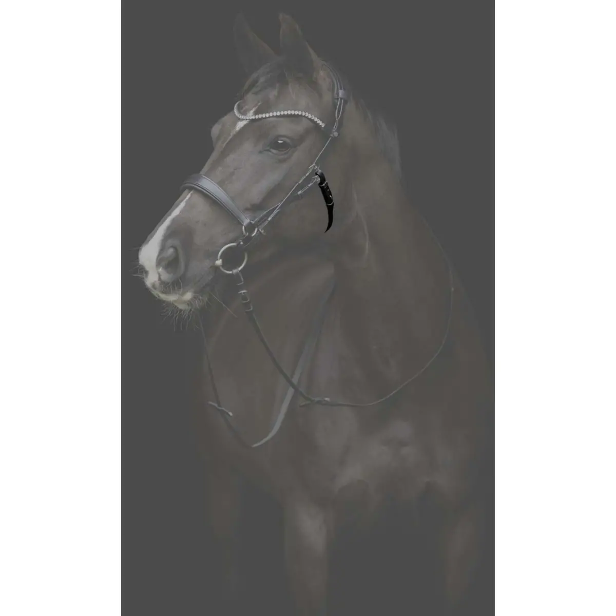 Catago Keelriem Gentle Zwart 2
