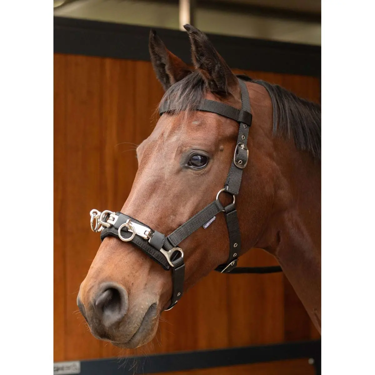 Harry's Horse Kaptoom Zwart 1