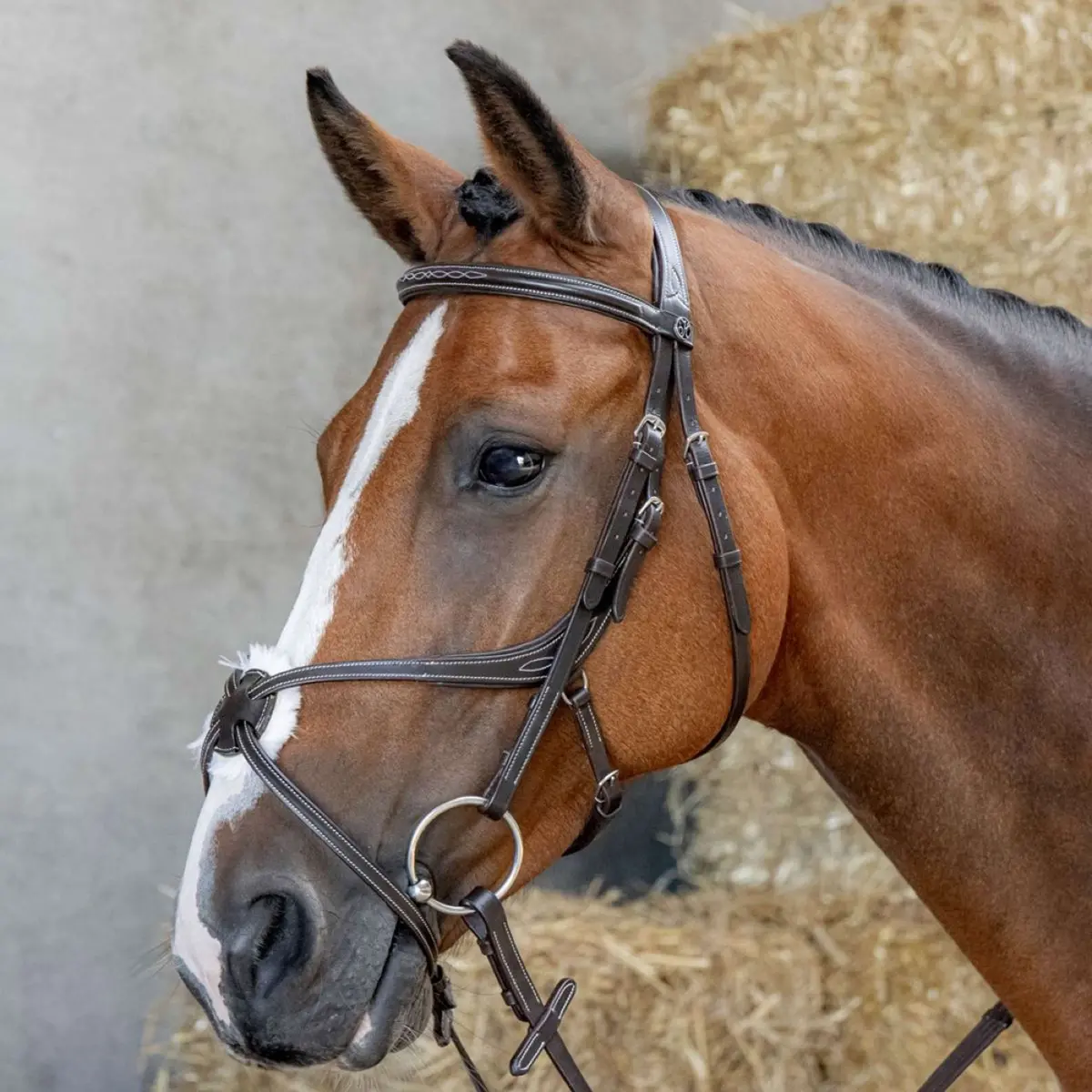 Harry's Horse Mexicaans Hoofdstel Anatomic Bruin 1