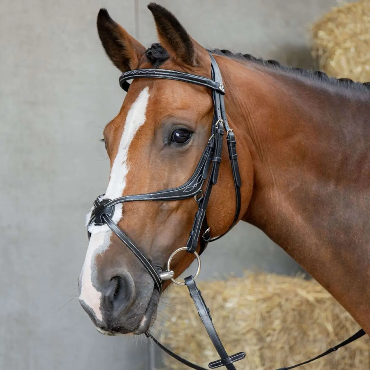Harry's Horse Mexicaans Hoofdstel Anatomic Zwart 1