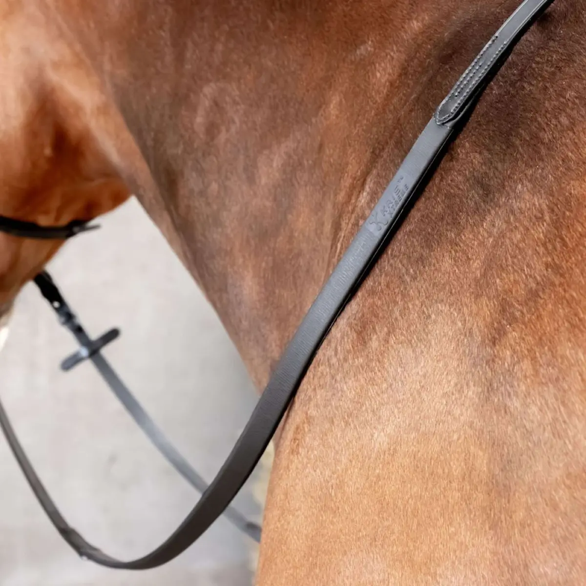Harry's Horse Teugels Kris Xtreme Zwart 1