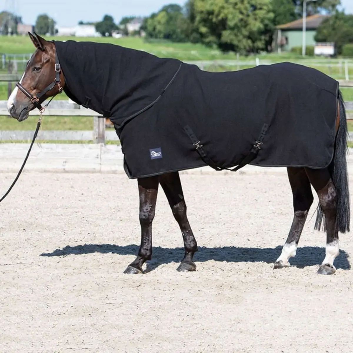 Harry's Horse Fleecedeken Met Oprolbare Hals Zwart 1