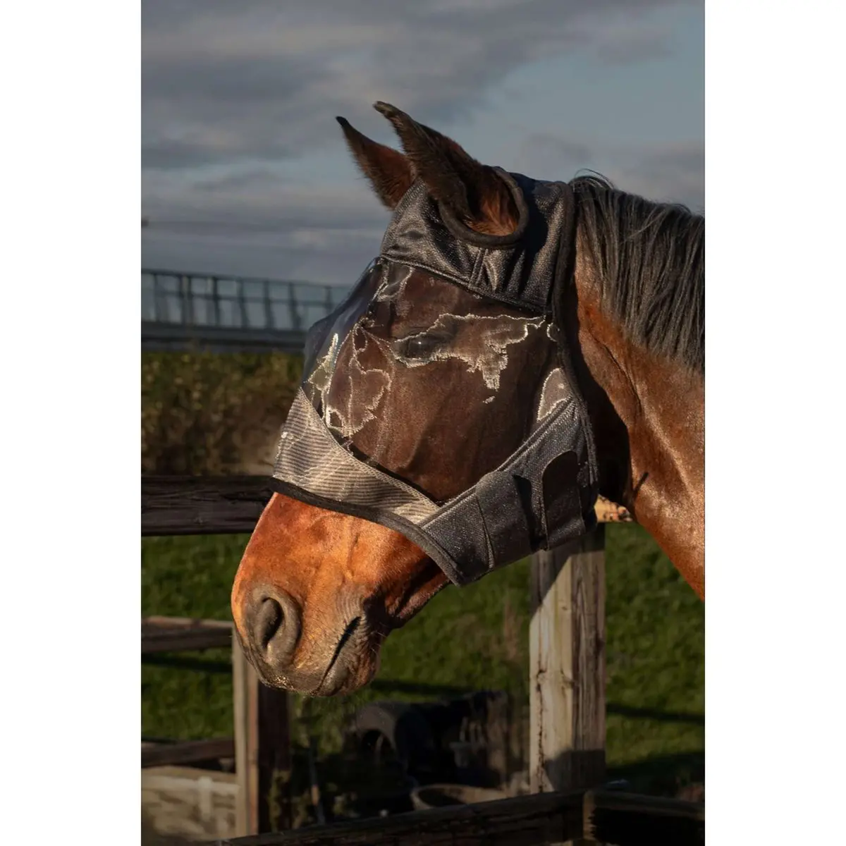 Harry's Horse Vliegenmasker Flyshield Zonder Oren 1