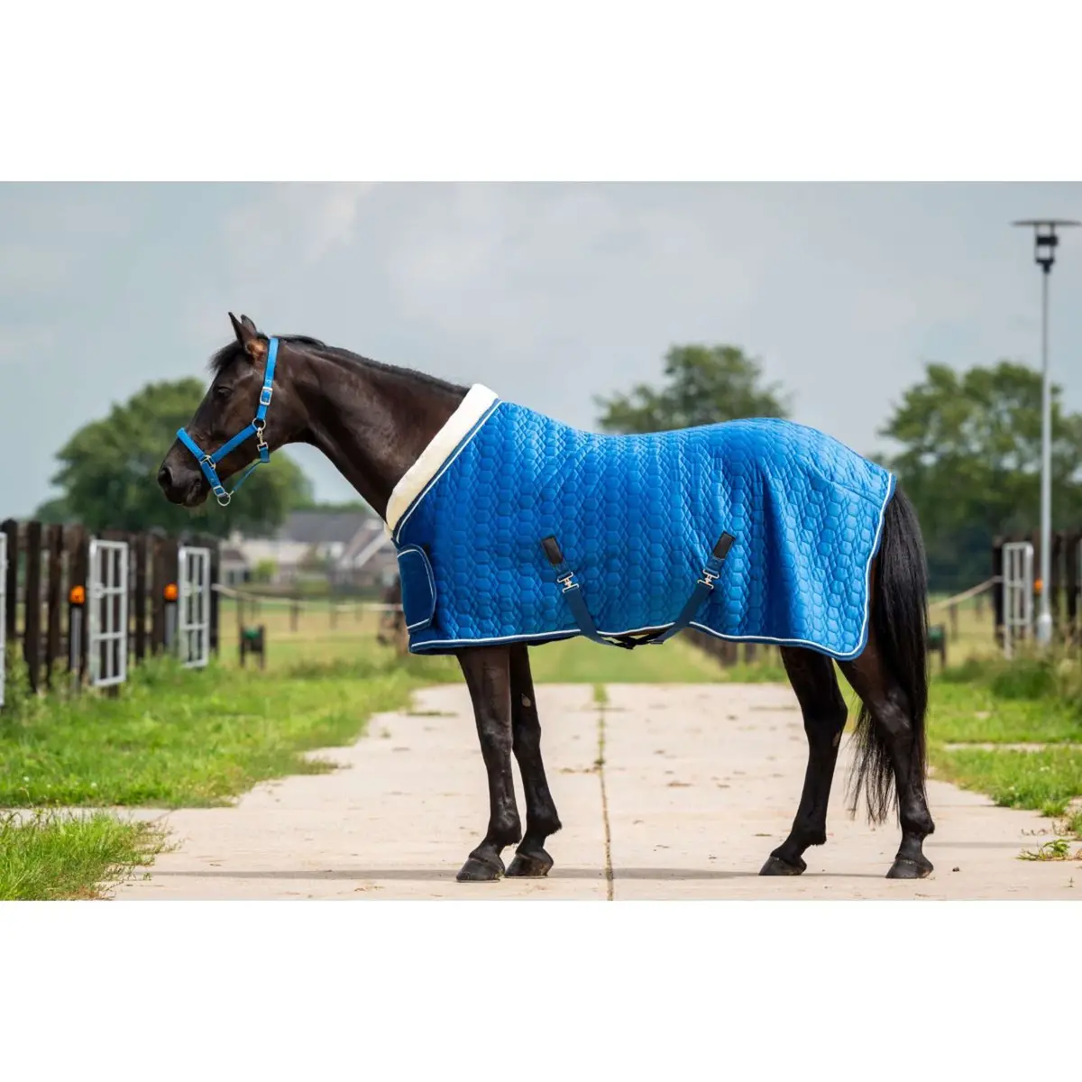 Hb Showtime Showdeken Tropical Turkish Blue 1