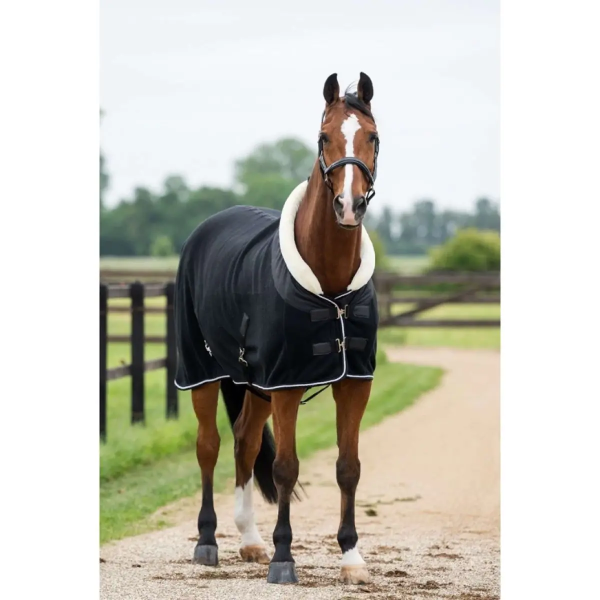 Hb Showtime Showdeken Crown Zwart 1