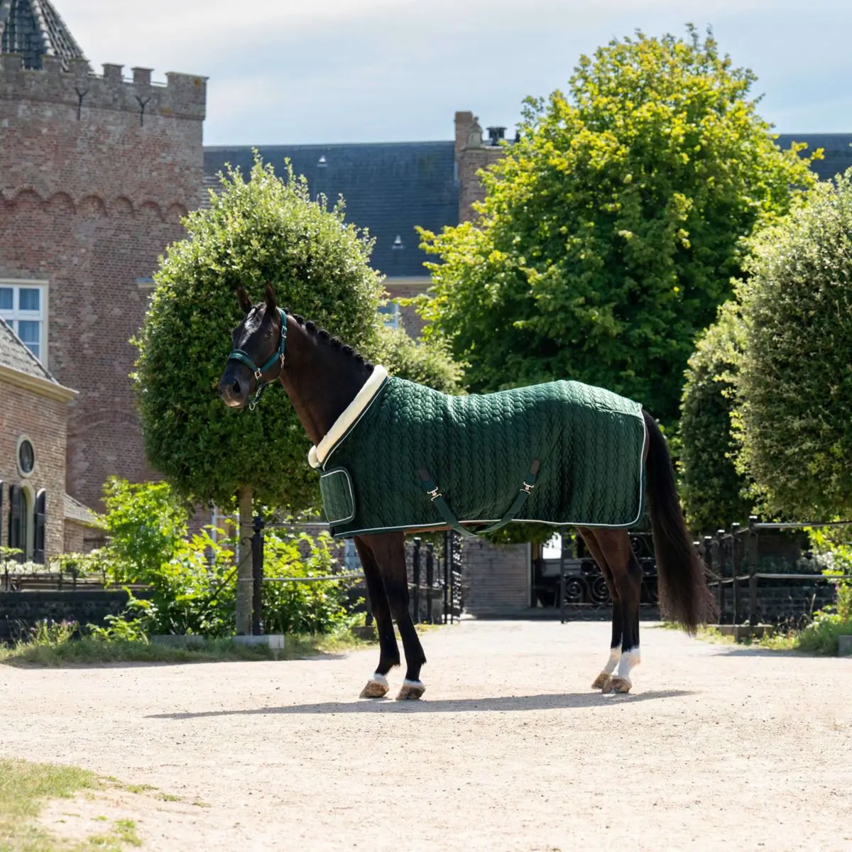 Hb Ruitersport Showdeken Special Peach Forest Green 1
