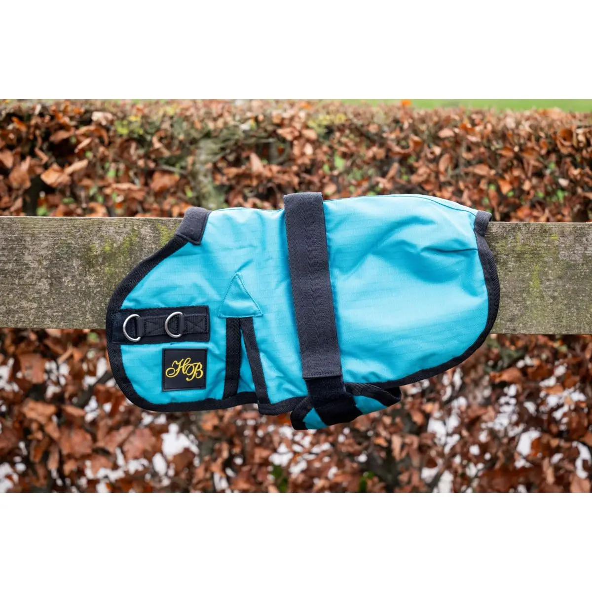 Hb Veulendeken Ukki Turquoise 1