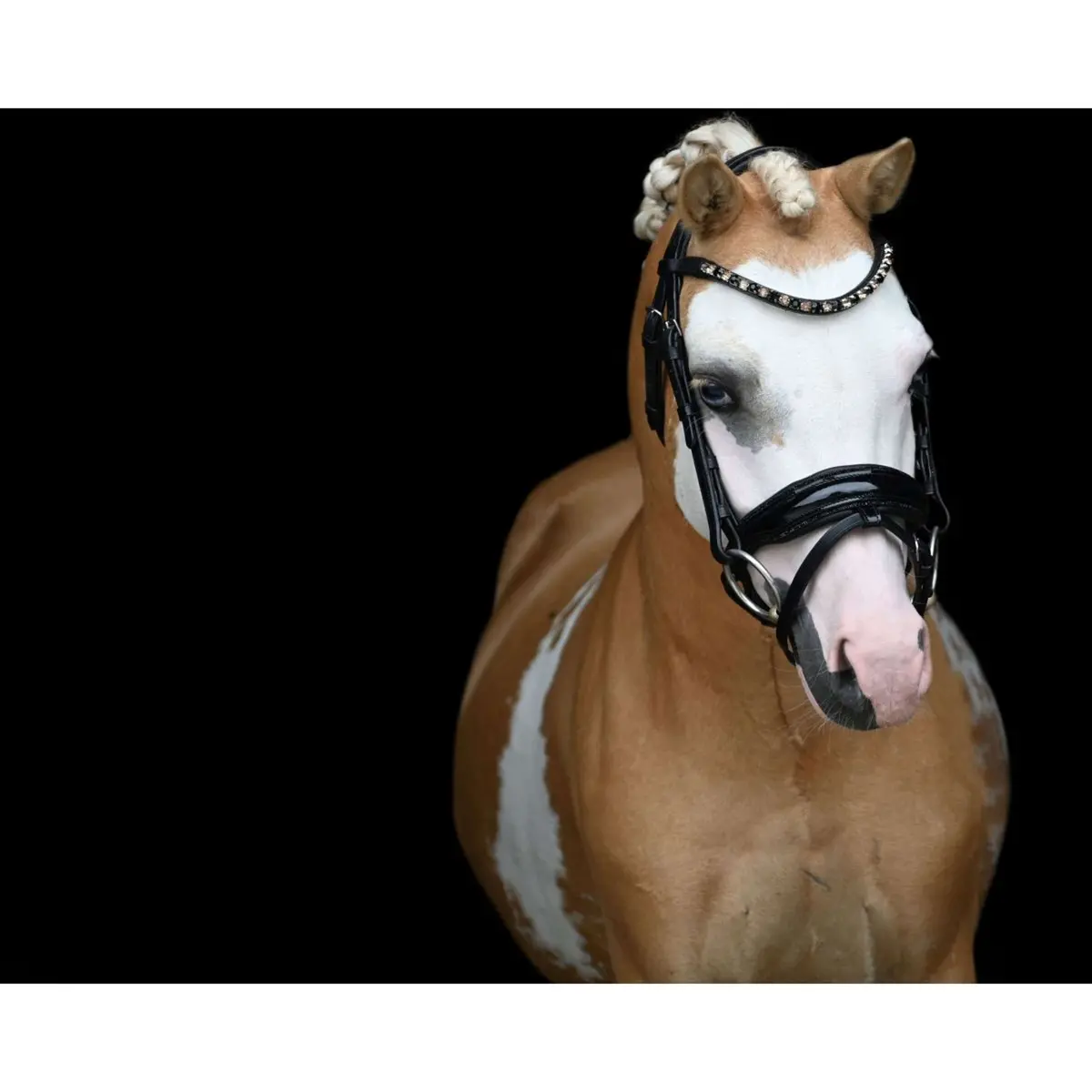 Hb Showtime Hoofdstel Special Zwart/Goud 1
