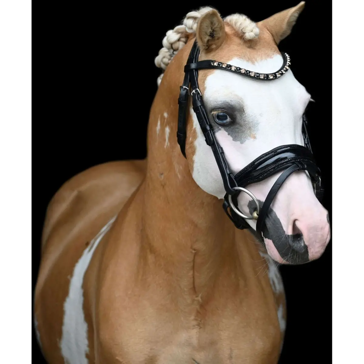 Hb Showtime Hoofdstel Special Zwart/Goud 2