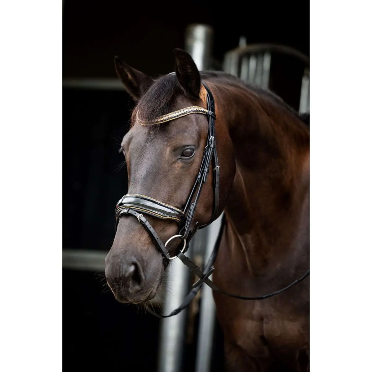 Hb Showtime Hoofdstel Golden Dreams Zwart/Goud Glitter 1